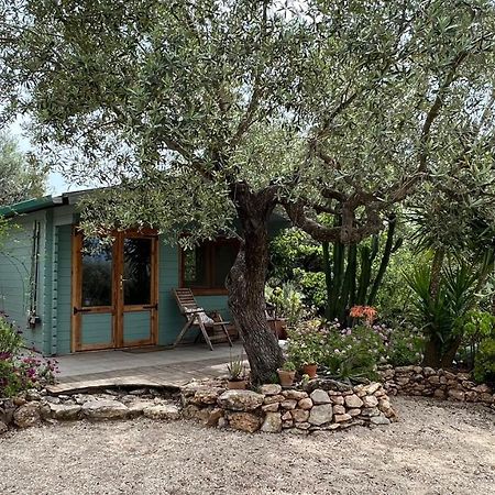 Finca Florecer Tivenys المظهر الخارجي الصورة