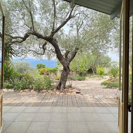Finca Florecer Tivenys المظهر الخارجي الصورة