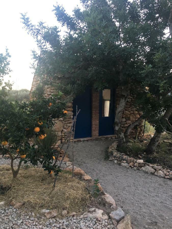Finca Florecer Tivenys المظهر الخارجي الصورة